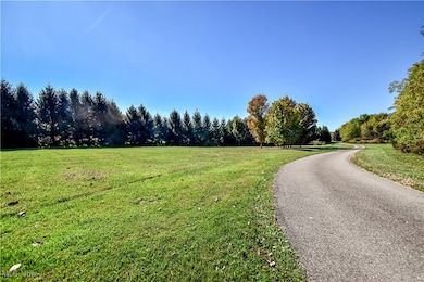 12954 State Route 88, Garrettsville, OH 44231 - photo 3