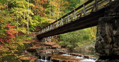 Exterior view of a forest