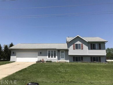 606 W Main St, Downs, IL 61736 - photo 2