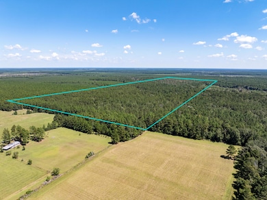 0 Beehive Loop, Singer, LA - photo 2