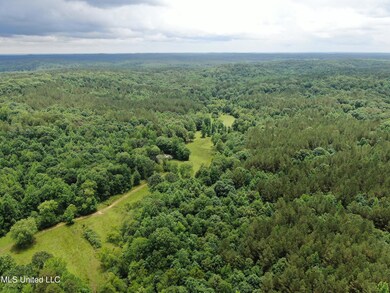 DJI_0598