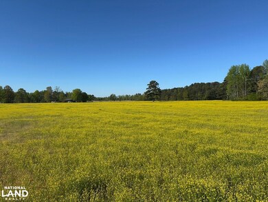 0 Parker Rd unit 25194062, Athens, AL 35614 - photo 4