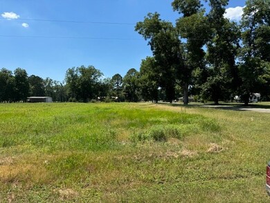 0 Haralson St unit 137599, Rebecca, GA 31783 - photo 4