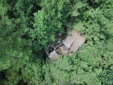 2800 County Road 441, Magnolia Springs, TX 75956 - photo 7