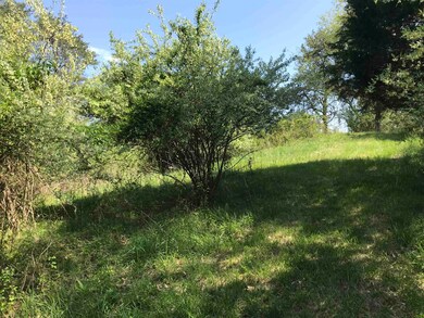 Lots 7 & 8 Niday Drive Sec 3, Barboursville, WV 25504 - photo 4