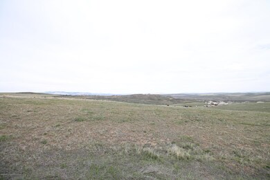 IMG_9651