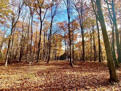 View from the back of the lot.