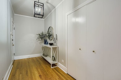 539 W Addison St unit 2N, Chicago, IL 60613 - photo 3