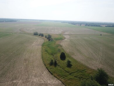 000 N Stanford Rd, Flora, IL 62839 - photo 5