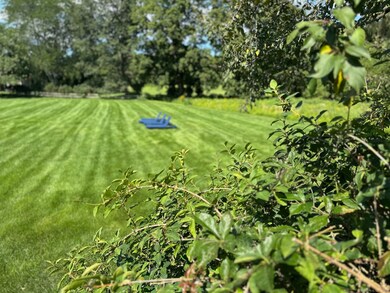 View to north over neighbor's pasture