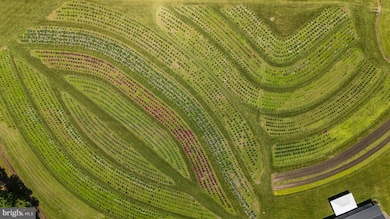 550 Hands Mill Rd, Woodbine, NJ 08270 - photo 7