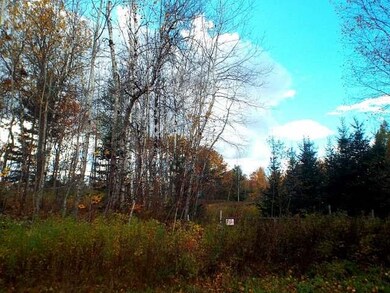 8 Acres Duck Ln, Deerbrook, WI 54424 - photo 5