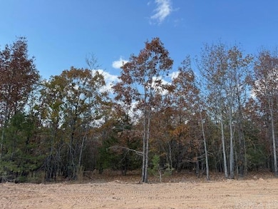 12 Summer Tyme Dr, Greenbrier, AR 72058 - photo 3