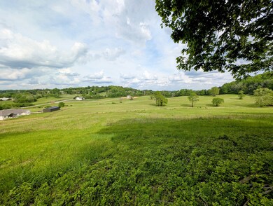 1112 Iron Bridge Rd, Columbia, TN 38401 - photo 4