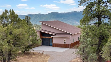 640 Sawmill Rd, Durango, CO 81301 - photo 5