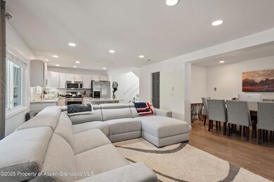 unlisted-address, Aspen, CO 81611 - photo 3