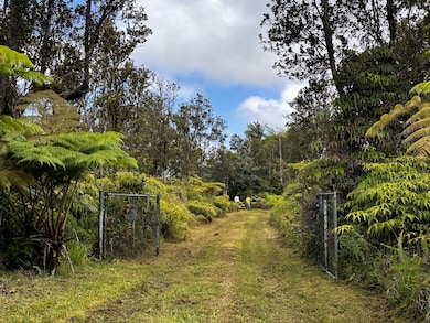 11-2736 Makoa Rd, Volcano, HI 96785 - photo 6