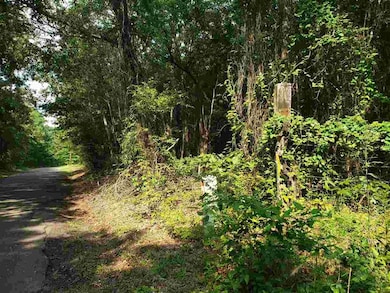 1197 Trexler Rd, Texarkana, TX 75501 - photo 7