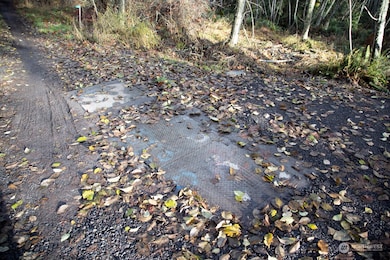 702 Chelsamish Dr, Sequim, WA 98382 - photo 2