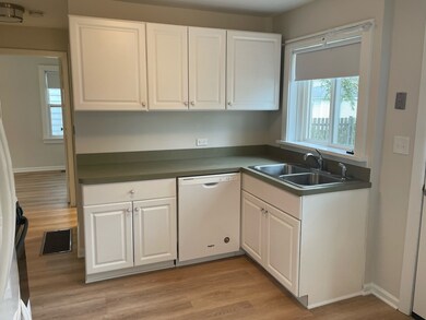 977 S Spring Rd, Elmhurst, IL 60126 - photo 5