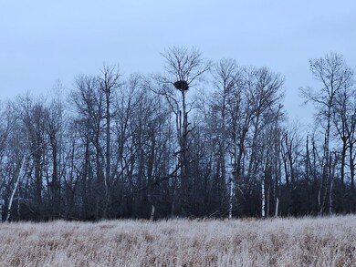 Parcel 4 Cr-68 NE, Carlos, MN 56319 - photo 4