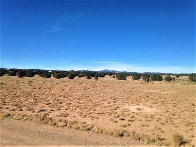 10 Off of Tanner Rd, Ash Fork, AZ 86320 - photo 7