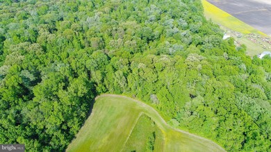 25000 Goldsboro Rd, Henderson, MD 21640 - photo 4