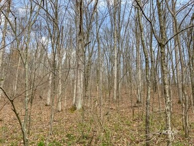 Goose Creek Rd
