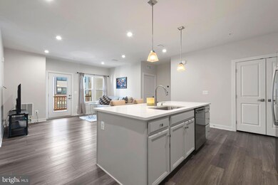 46270 Mount Allen Terrace unit 303, Sterling, VA 20164 - photo 4