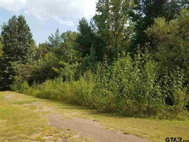 000 Bent Trail, New Chapel Hill, TX 75707 - photo 4