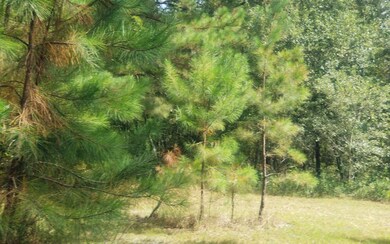 3156 NW Moore Rd, Lake City, FL 32055 - photo 4