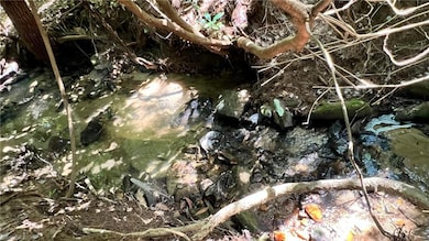 TBD2 Barlowe Place, Lenoir, NC 28645 - photo 6