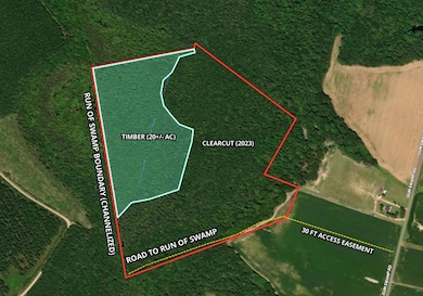 0 Gum Swamp Rd, Sellers, SC 29592 - photo 5