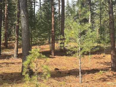 TBD Sorrel Dr unit 21, New Meadows, ID 83654 - photo 4