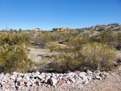 19700 W Verde Hills Dr, Wickenburg, AZ 85390 - photo 6