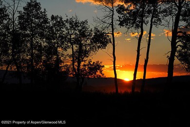 Sunset through Trees