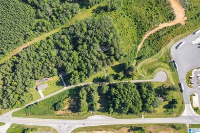 0 Highway 46 unit 1.9 21430374, Heflin, AL 36264 - photo 4