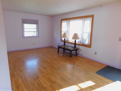 5222 Tulip Ave, Lansing, MI 48911 - photo 5