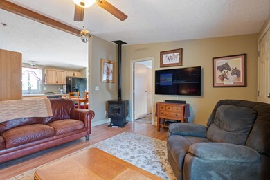 Living Room Pellet Stove