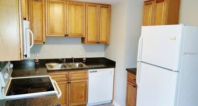 3705 Argon Dr, Tampa, FL 33619 - photo 2