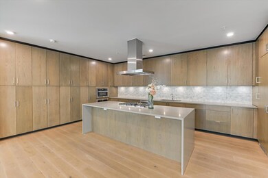 Kitchen featuring island exhaust hood, light coun