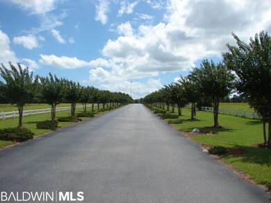 6194 State Highway 59 unit B7, Gulf Shores, AL 36542 - photo 3