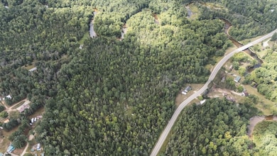 2349 Muskegon Rd, Harrison, MI 48625 - photo 3