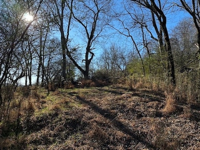 0 N 3rd St, Pulaski, TN 38478 - photo 6