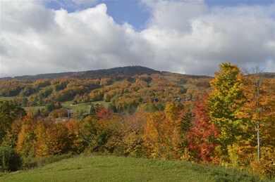 11C Overbrook Dr, Dover, VT 05356 - photo 2