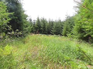 0 Lot B Mill Creek Rd, Longview, WA 98632 - photo 4