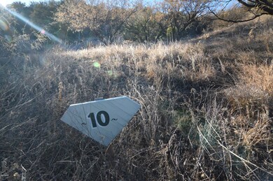 Lot 10.1