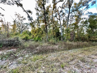 Lot 19 NE 497th St, Old Town, FL 32680 - photo 4