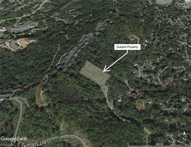 Google Earth View
