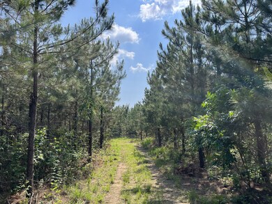 0 Sinking Creek Prong, Linden, TN 37096 - photo 2